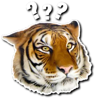 😕 tigre, animal, signos de interrogación, confusión, vida silvestre, pegatina whatsapp sticker