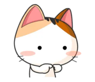 👉 gato, fofo, animal, gatinho, animal de estimação, emoji, desenho animado whatsapp sticker