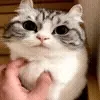 🤗