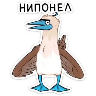 🤔 НИПОНЕЛ птица, мультфильм, животное, голубоногая олуша, наклейка telegram sticker