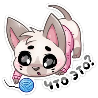 🤔 что это? Katze, Kätzchen, Garn, niedlich, Tier whatsapp sticker