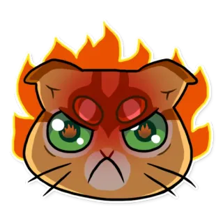 🔥 gato, enojado, fuego, dibujos animados, expresión, pegatina whatsapp sticker