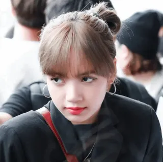 💕 Lisa mulher, Kpop, celebridade, cantora, Blackpink whatsapp sticker