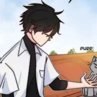 🐈‍⬛️ PURR Anime, Katze, Junge, süß, schnurren whatsapp sticker