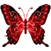 🦋