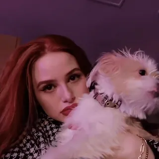 🦇 femme, chien, animal de compagnie, portrait, cheveux roux, mignon, selfie, beauté telegram sticker