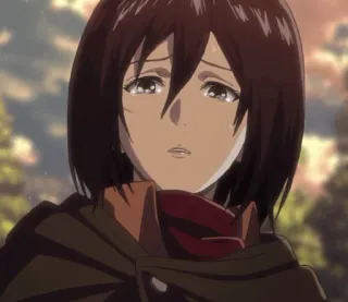 🌿 Mikasa Ackerman Attack on Titan anime, sad, tears, crying, emotion, character telegram sticker