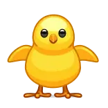 🐥