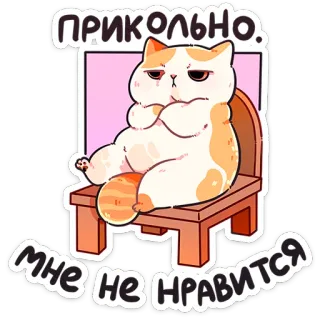 🫤 ПРИКОЛЬНО. МНЕ НЕ НРАВИТСЯ kat, grappig, sticker, schattig, dier, stemming, meme whatsapp sticker