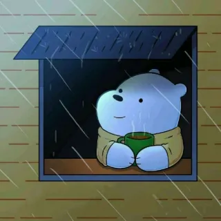 ✨ Ice Bear We Bare Bears oso polar, we bare bears, dibujos animados, lindo, oso, café, lluvia telegram sticker