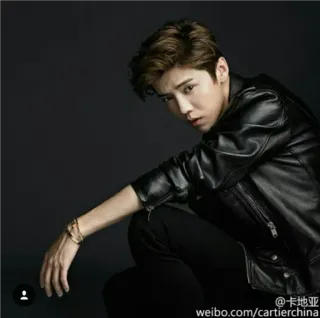 😒 weibo.com/cartierchina mężczyzna, skórzana kurtka, moda, portret telegram sticker