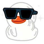 😎 canard, lunettes de soleil, cool, dessin animé, animal telegram sticker