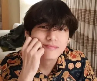 🐺 V K-Pop, BTS, Kim Taehyung, Idolo, Cantante, Artista telegram sticker