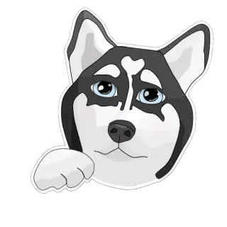 🙁 anjing, husky, lucu, anak anjing, hewan, peliharaan telegram sticker