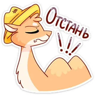 😕 Отстань!!! desenho animado, lhama, raiva, chapéu, russo telegram sticker
