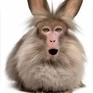 🐱 chimera, hybrid, monkey, bunny, animal, fantasy, funny, creature telegram sticker