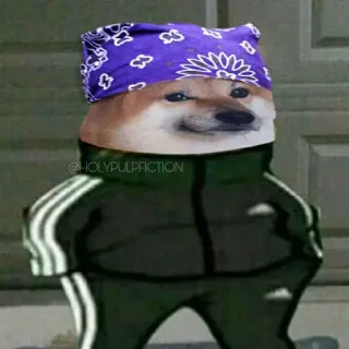😐 개, Cheems, Doge, 반다나, 갱스터, 아디다스, 트레이닝복 telegram sticker