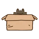 👀 Katze, Karton, Tier, Kätzchen, Haustier telegram sticker