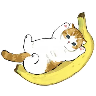 🍌 gato, plátano, lindo, gatito, animal, fruta whatsapp sticker
