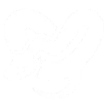 🐍