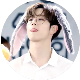 😜 pessoa, orelhas de coelho, óculos, homem, k-pop, fofo, ídolo, língua telegram sticker