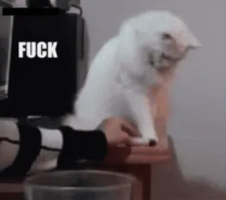 🥺 FUCK cat, offensive, cuss, profanity, sticker telegram sticker