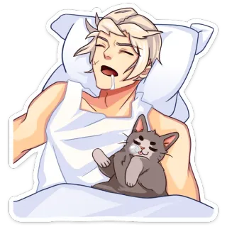 😴 dormir, gato, durmiendo, cama, relajado, soñoliento telegram sticker