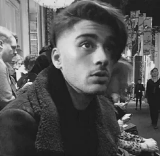 🖇 Zayn Malik 歌手, 名人, 男人, 肖像, 黑白 telegram sticker