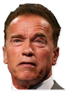😐 Arnold Schwarzenegger actor, celebridad, cara, expresión, retrato telegram sticker