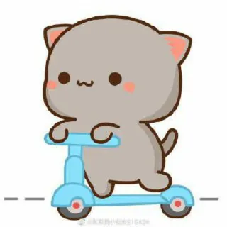 🍓 kucing, skuter, imut, kartun, binatang whatsapp sticker