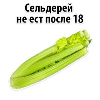 😒 Сельдерей не ест после 18 aipo, legume, comida, dieta, alimentação saudável, restrição, humor telegram sticker