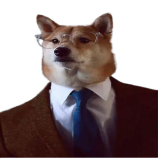 👨‍⚖️ 개, 안경, 정장, 시바견, 밈, 웃긴, 비즈니스 telegram sticker