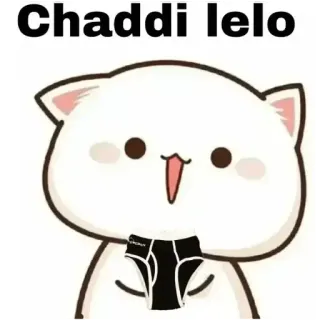 🏵 Chaddi lelo cat, underwear, chaddi, hindi telegram sticker