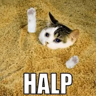 😭 HALP kucing, pasir, bantuan, binatang, lucu, meme telegram sticker