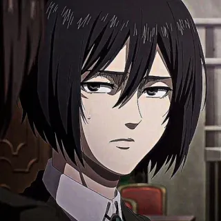 ❕ Mikasa Ackerman Attack on Titan 动漫, 进击的巨人, 三笠·阿克曼, 动画, 漫画 telegram sticker