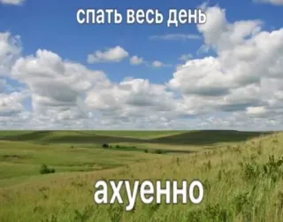🌟 спать весь день
ахуенно 잔디, 하늘, 낮, 들판, 구름 whatsapp sticker