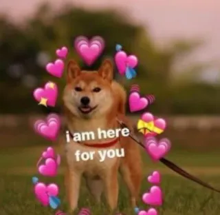 ❤ I am here for you hond, harten, steun, troost, vriendelijkheid, empathie, shiba inu, schattig, vriendschap telegram sticker