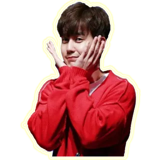 🤗 man, person, sweater, portrait, happy, asian telegram sticker