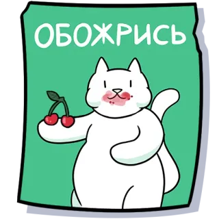 🍒 ОБОЖРИСЬ cat, cherries, cartoon, sticker, cute, white cat telegram sticker