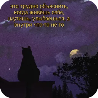 🌌 это трудно объяснить,
когда живёшь себе,
шутишь, улыбаешься, а
внутри что-то не то 猫, 月, 夜, 悲しい, 寂しい, ロシア telegram sticker