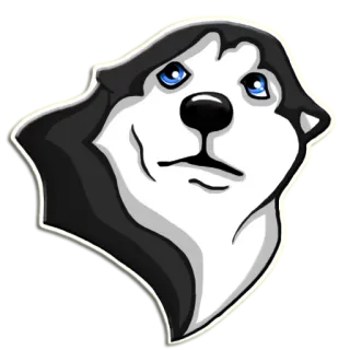 😰 Husky, Cachorro, Animal, Animal de estimação, Mamífero, Animal doméstico, Fofo, Raça de cachorro telegram sticker