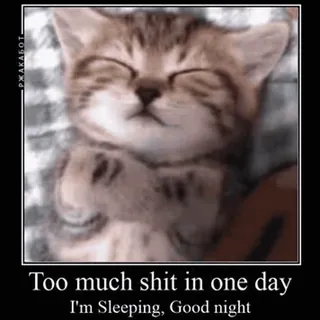 🙂 Too much shit in one day
I'm Sleeping, Good night kat, slapen, moe, humor, goedenacht, dier telegram sticker