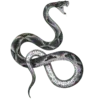 🐍