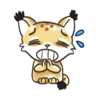 🙏 mèo, xin xỏ, van xin, khóc, dễ thương, động vật whatsapp sticker