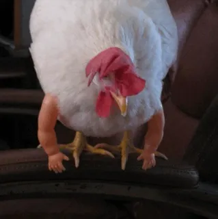 🧈 poulet, bras de poupée, animal, drôle, bizarre, humour telegram sticker