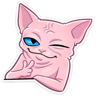 😉 Katze, Sphynx, Zwinkern, Tier, Meme, Sticker telegram sticker