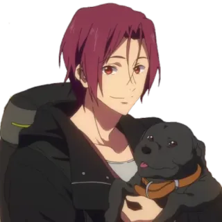 😊 Rin Matsuoka Free! anime, personagem, cachorro, animal de estimação, cabelo ruivo whatsapp sticker