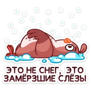 Птичка @stik98 telegram stickers