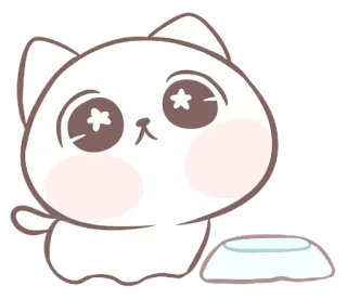 💭 แมว, ลูกแมว, น่ารัก, สัตว์เลี้ยง, สัตว์, คาวาอิ telegram sticker