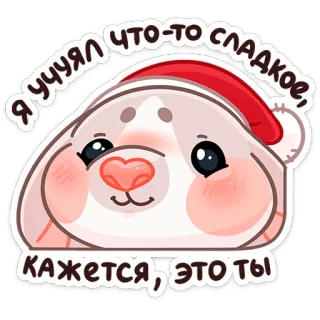 🐭 Я учуял что-то сладкое, кажется, это ты 귀여운, 동물, 크리스마스, 물개, 달콤한, 사랑스러운, 만화 telegram sticker
